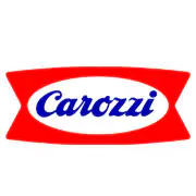 Logo carozzi xolertic group.webp
