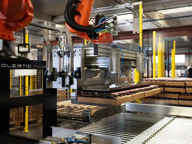Robotic palletizer price xolertic group.webp