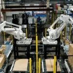 End of line automation, robots palletizing boxes